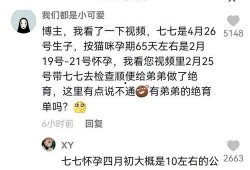抖音娱乐吃瓜博主有哪些