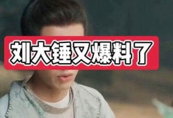 刘大锤爆料陈建斌视频播放,揭秘幕后真相