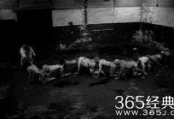 人体蜈蚣3在线观看完整版,惊悚极限，生死较量